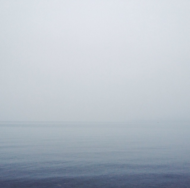 It's been a foggy month, which has made for some amazingly eerie and serene photos. Photo credit: @itsmederekd