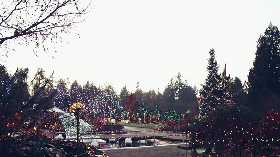 VanDusen Botanical Garden Festival of Lights